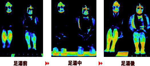 Thermography001.jpg